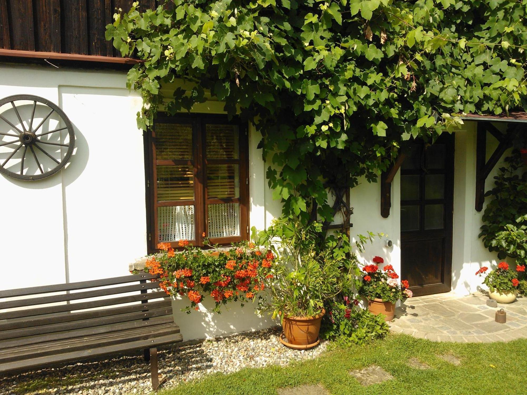 Pension Laura Chribska Exterior photo
